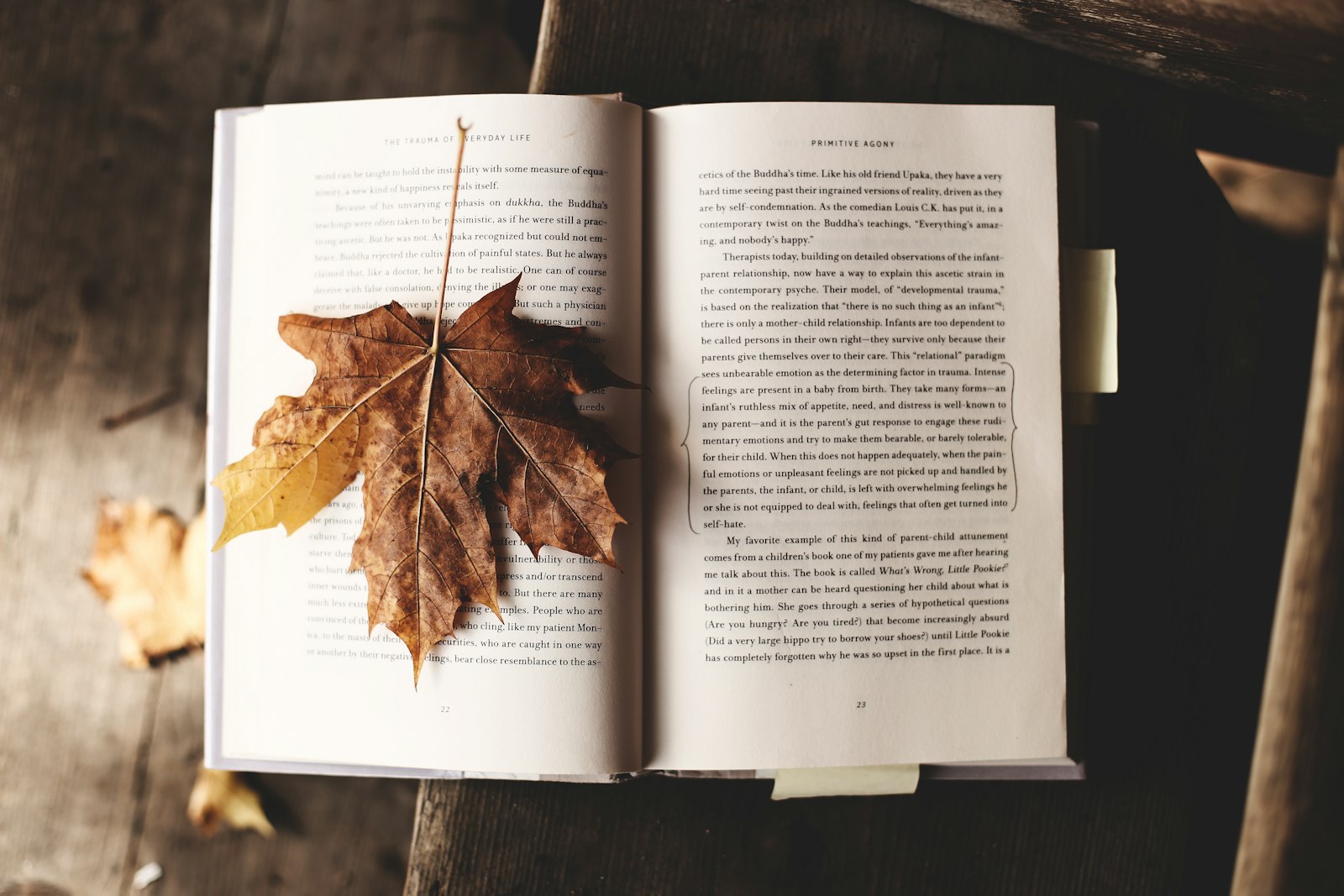 كتابة المقال العربيّ: فكرةٌ واحدة يُدافَع عنها