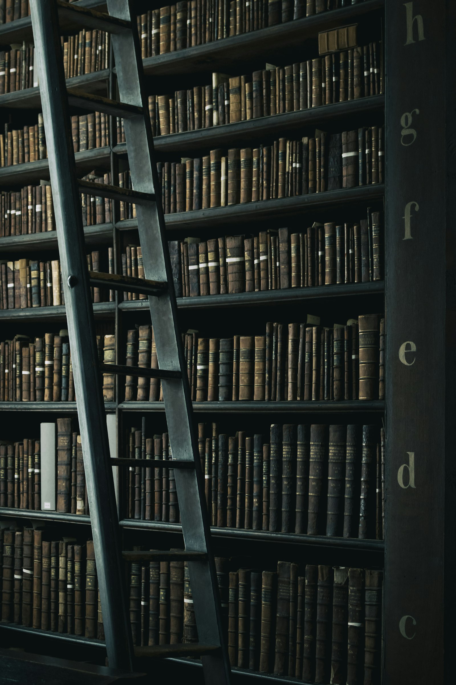 كتابة كتابٍ للأطفال بالعربيّة: المستوى اللغويّ قبل الحكاية