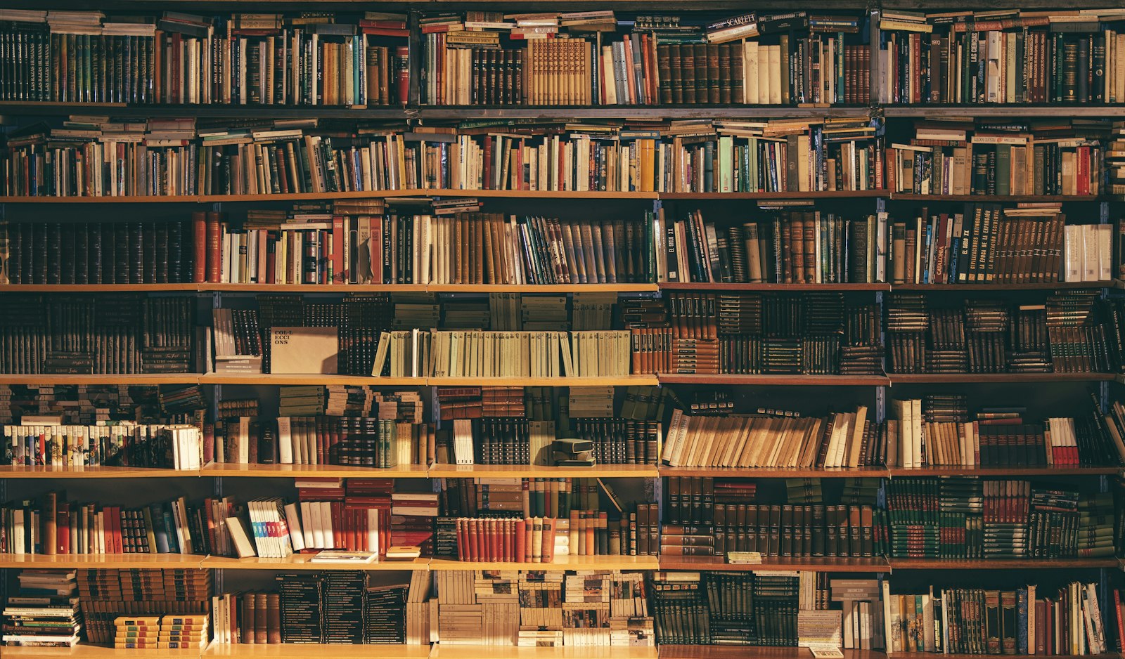 Publicar um livro de forma independente: o caminho inteiro